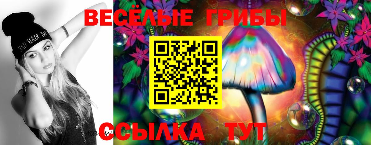 Галлюциногенные грибы Psilocybe Саяногорск